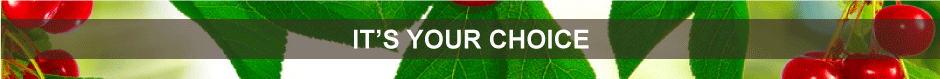 your choice banner